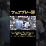 花咲徳栄・菅原謙伸選手のフェアプレー弾【2019甲子園】