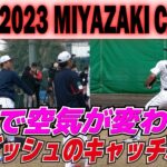 ファンだけじゃない侍ジャパンの選手だって観たい！！ダルビッシュがキャッチボール始めたら一瞬で空気が変わった！！【侍ジャパン　宮崎キャンプ初日】プロ野球ニュース　2023.2.17