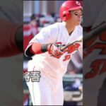 プロ5年目以内ホームランランキング#プロ野球 #村上宗隆 #ホームラン #ヤクルトスワローズ #プロ野球 #shorts