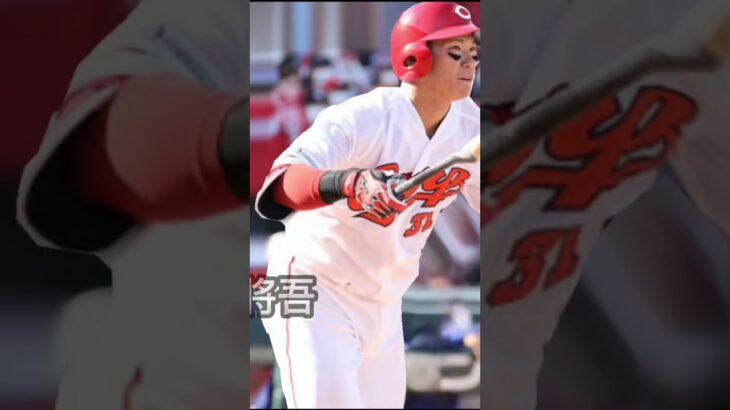 プロ5年目以内ホームランランキング#プロ野球 #村上宗隆 #ホームラン #ヤクルトスワローズ #プロ野球 #shorts