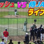 槇原氏もネット裏で観戦【侍JAPAN　vs　ダルビッシュ】ダルビッシュが試合前にライブBP登板　先発前のソフトバンクの選手もネット裏で凝視【侍ジャパンの壮行試合vsソフトバンクホークス】