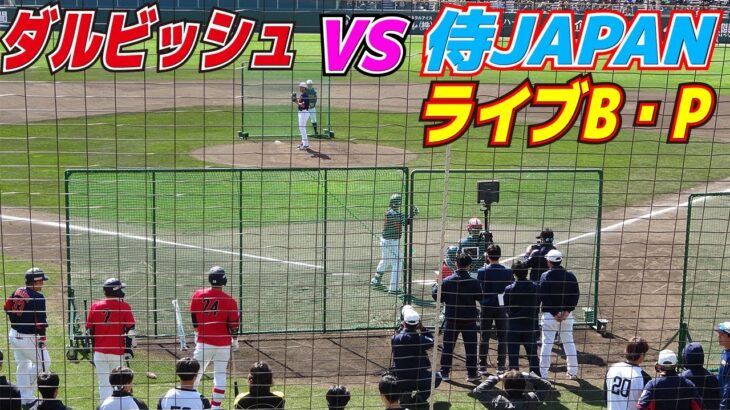 槇原氏もネット裏で観戦【侍JAPAN　vs　ダルビッシュ】ダルビッシュが試合前にライブBP登板　先発前のソフトバンクの選手もネット裏で凝視【侍ジャパンの壮行試合vsソフトバンクホークス】