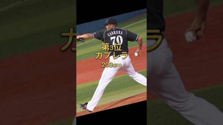 【プロ野球】外国人選手身長ランキングTOP5 #shorts