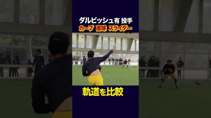 【WBC練習】ダルビッシュ有…カーブと直球の軌道比較