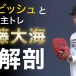 【WBC】伊藤大海 ダルビッシュとの自主トレの成果を大解剖＜2/4ファイターズ春季キャンプ2023＞