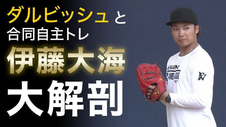 【WBC】伊藤大海 ダルビッシュとの自主トレの成果を大解剖＜2/4ファイターズ春季キャンプ2023＞