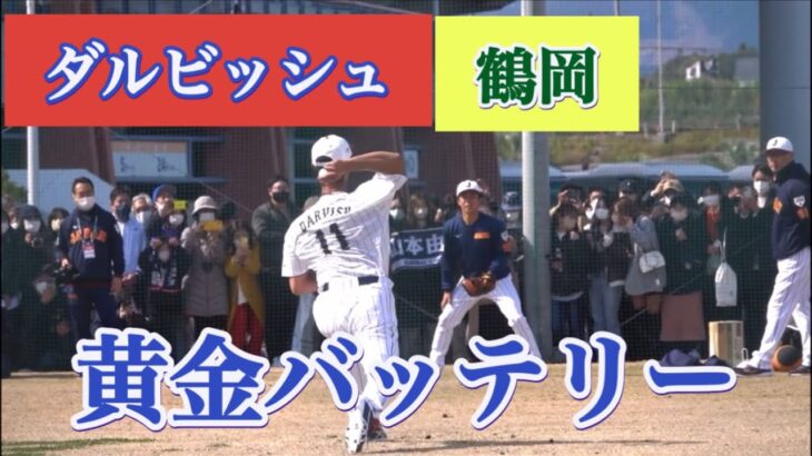 日本ハム黄金バッテリー復活❗️ダルビッシュ有と鶴岡捕手❗️WBC侍ジャパン宮崎キャンプ