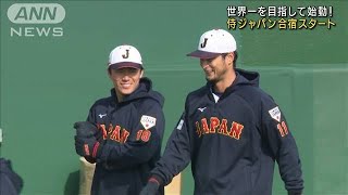 WBC世界一目指し　侍ジャパンが強化合宿スタート(2023年2月17日)