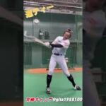 気迫の連ティーで汗を流すキャプテン柳田悠岐。#shorts 【福岡ソフトバンクホークス】