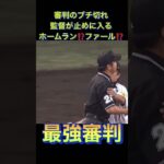 プロ野球　最強審判降臨　監督が止めに入る　#shorts #プロ野球 #ホームラン #wbc #巨人 #阪神タイガース #審判 #ブチ切れ