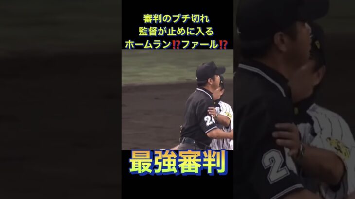 プロ野球　最強審判降臨　監督が止めに入る　#shorts #プロ野球 #ホームラン #wbc #巨人 #阪神タイガース #審判 #ブチ切れ