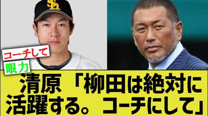 清原和博「この柳田って若手滅茶苦茶良いな…」←慧眼すぎる件