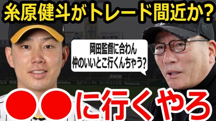 【プロ野球】高木豊「岡田彰布の考えとは合わないから●●に行くらしいよ」糸原健斗ついにトレードか？秋季キャンプ不参加の真相をレジェンドが語る！【阪神タイガース】