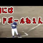 プロ野球 中継マイクに入ってしまったヤジ集