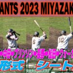 巨人　実戦形式シート打撃　【なにこの豪華メンツ　オールスター並】　中島➡丸➡坂本➡中田➡ブリンソン➡長野➡松田➡ウォーカー➡大城➡岡本【巨人　宮崎１軍キャンプ最終日】読売ジャイアンツ　プロ野球ニュース