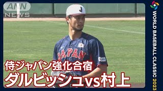 実戦練習でダルビッシュvs村上　侍ジャパン強化合宿(2023年2月21日)