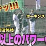 強打者ホーキンスの強挨拶に怯む柳田悠岐w#ソフトバンク#ホークス#キャンプ