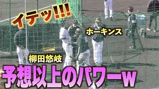 強打者ホーキンスの強挨拶に怯む柳田悠岐w#ソフトバンク#ホークス#キャンプ