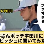 杉谷さんボッチ宇田川についてダルビッシュに聞いてみたwww