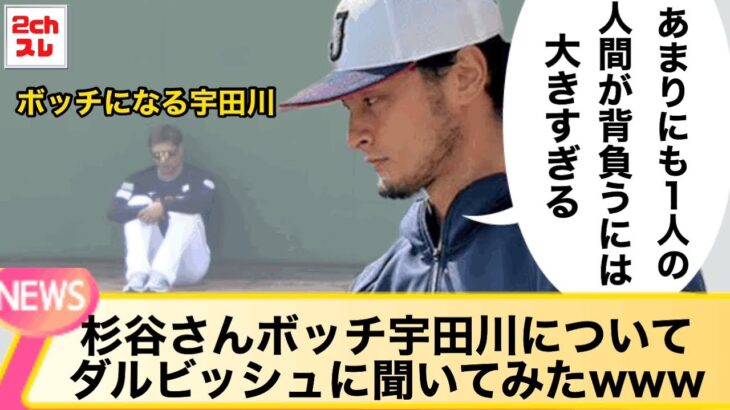 杉谷さんボッチ宇田川についてダルビッシュに聞いてみたwww