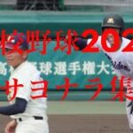 [最新]高校野球2022サヨナラ集