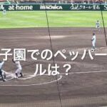 甲子園でのペッパーミルは？失策の後はいただけない気もするが、、、【2023 第95回記念選抜高校野球第1日1回戦第1試合東北vs山梨学院】#第95回記念選抜高校野球#東北#甲子園球場#ペッパーミル