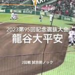 2回戦龍谷大平安の試合前ノック【2023 第95回記念選抜高校野球第4日2回戦第2試合　龍谷大平安vs長崎日大】#第95回記念選抜高校野球#大会第4日目#龍谷大平安#長崎日大#甲子園球場#試合前ノック