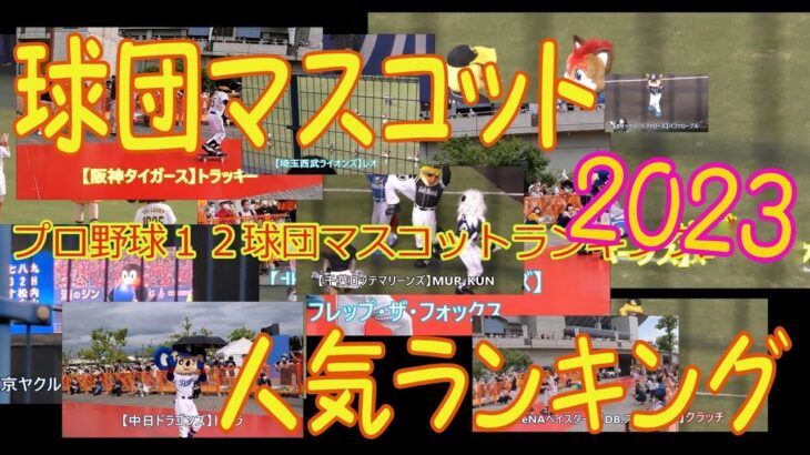 【つば九郎 VS ドアラ】プロ野球マスコット総選挙　ランキング2023