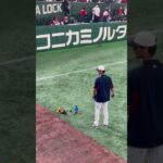 【WBC】イタリア戦中継ぎのダルビッシュ有の試合前練習