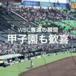 WBC日本代表世界一奪還、甲子園が優勝の一報を受け歓喜の拍手！【第5日2回戦第2試合　常葉大菊川vs専大松戸】#第95回記念選抜高校野球#大会第5日目#WBC優勝#優勝瞬間#甲子園球場