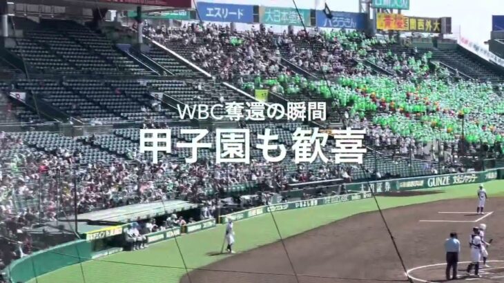 WBC日本代表世界一奪還、甲子園が優勝の一報を受け歓喜の拍手！【第5日2回戦第2試合　常葉大菊川vs専大松戸】#第95回記念選抜高校野球#大会第5日目#WBC優勝#優勝瞬間#甲子園球場