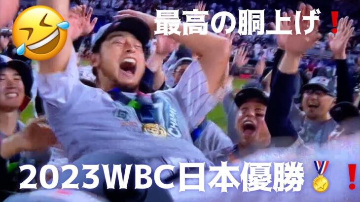 WBC日本優勝🏅最高の胴上げシーン#wbc#大谷翔平 #ダルビッシュ有 #ヌートバー#栗山英樹