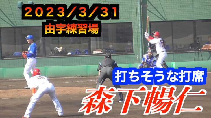 【元野手】森下暢仁選手の雰囲気抜群の打席！（広島東洋カープ）【２０２３／３／３１＠由宇練習場】