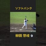 柳田悠岐選手のバッティングフォーム