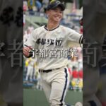 栃木県 高校野球 強豪校ランキング