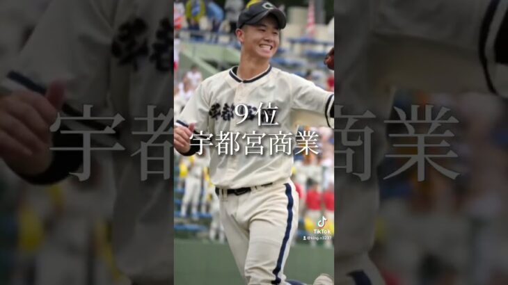 栃木県 高校野球 強豪校ランキング