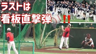 これが大谷‼️韓国代表も打撃練習に見入ってしまう