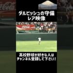 【高校野球】ダルビッシュの守備レア映像【甲子園】