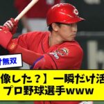 【誰を想像した？】一瞬だけ活躍したプロ野球選手www【なんJ反応】