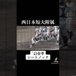 雰囲気がいい西日本短大附属のシートノック！《第152回九州地区高校野球福岡県大会》#shorts #西短 #高校野球2023