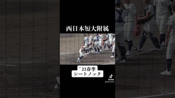 雰囲気がいい西日本短大附属のシートノック！《第152回九州地区高校野球福岡県大会》#shorts #西短 #高校野球2023