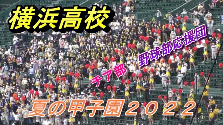 【横浜高校】😄🎉💖チアリーダー　野球部応援団⚾　2022夏　Yokohama High School　Cheer team