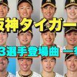 【プロ野球】阪神タイガース 2023年シリーズ、選手が登場曲に使用している曲・アーティストを一挙ご紹介【まとめ・ランキング・雑学】