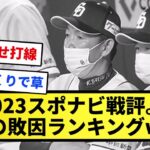 【分かりやすい】2023スポナビ戦評『敗れた中日は～』の敗因分析ランキングを作った【反応集】【プロ野球反応集】【2chスレ】【1分動画】【5chスレ】