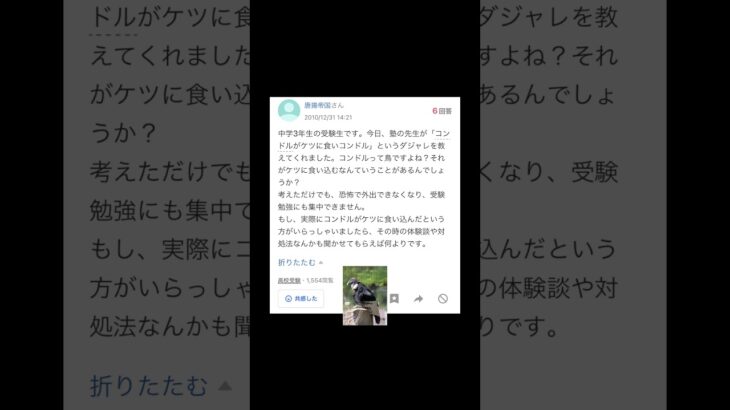 【Yahoo!知恵袋】Q.ダルビッシュ（有）は何の会社ですか？