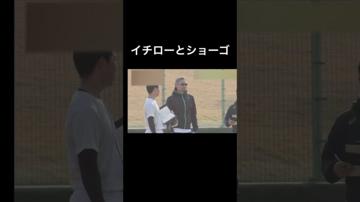 イチローとショーゴ #高校野球 #イチロー #浅野翔吾#巨人