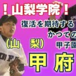 甲府工業野球部 山梨高校野球 甲子園出場校