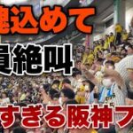 【甲子園超え】声出し禁止から解放された阪神ファンによる史上最強の商魂込めて＆くたばれ読売が全員絶叫してて治安悪すぎたw 【in東京ドーム 2023初の伝統の一戦】2023年4月11日阪神対巨人