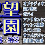 聖望学園　野球応援・応援曲紹介[2022・選手権]