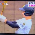 2023 5/31 春の全道高校野球大会　北海高校が優勝🏆️